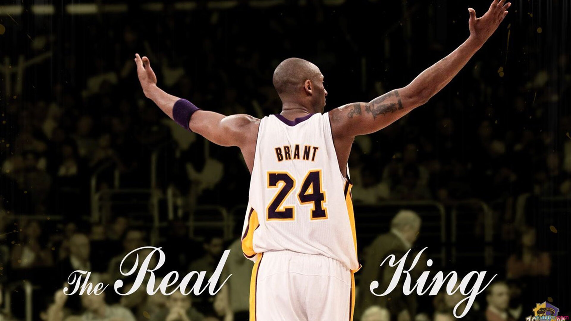 厄德高,安哥拉节奏大师,塞维利亚的沉默征服者